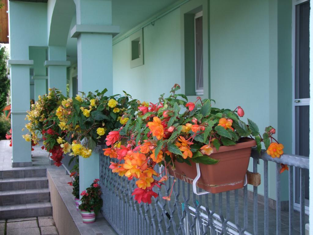 Rajna Apartmanhaz Bogacs Bagian luar foto