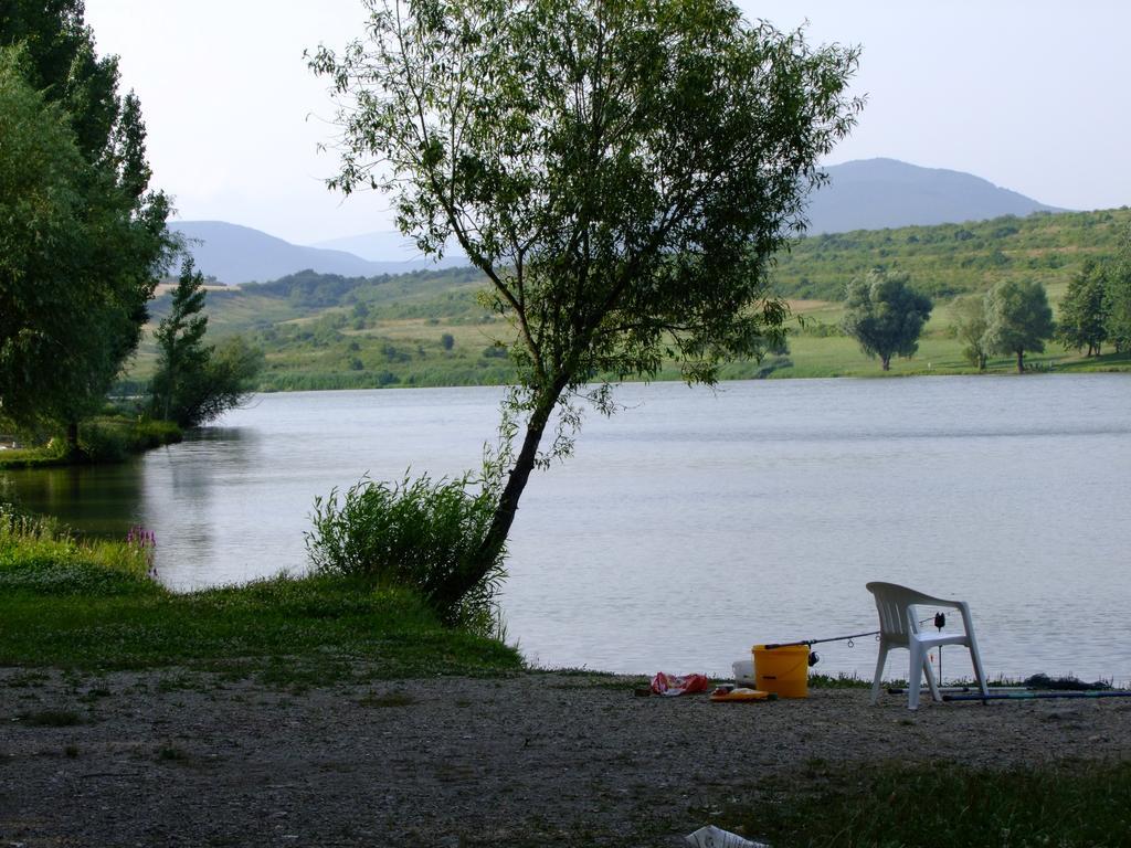 Rajna Apartmanhaz Bogacs Bagian luar foto