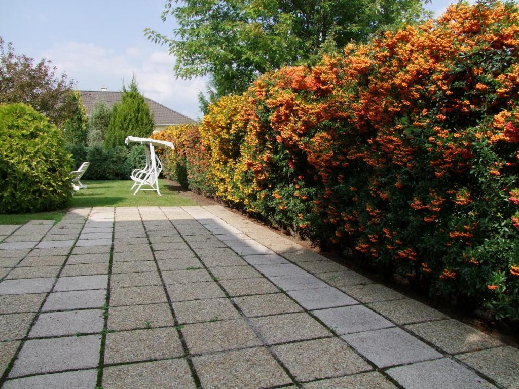 Rajna Apartmanhaz Bogacs Bagian luar foto