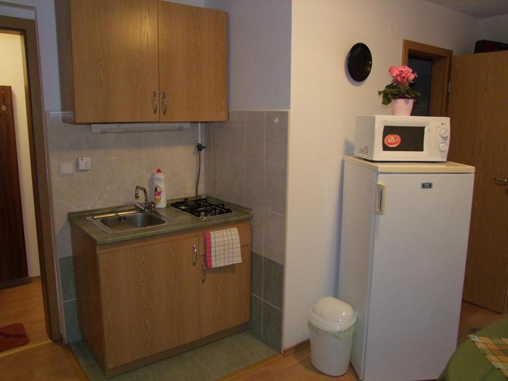 Rajna Apartmanhaz Bogacs Ruang foto