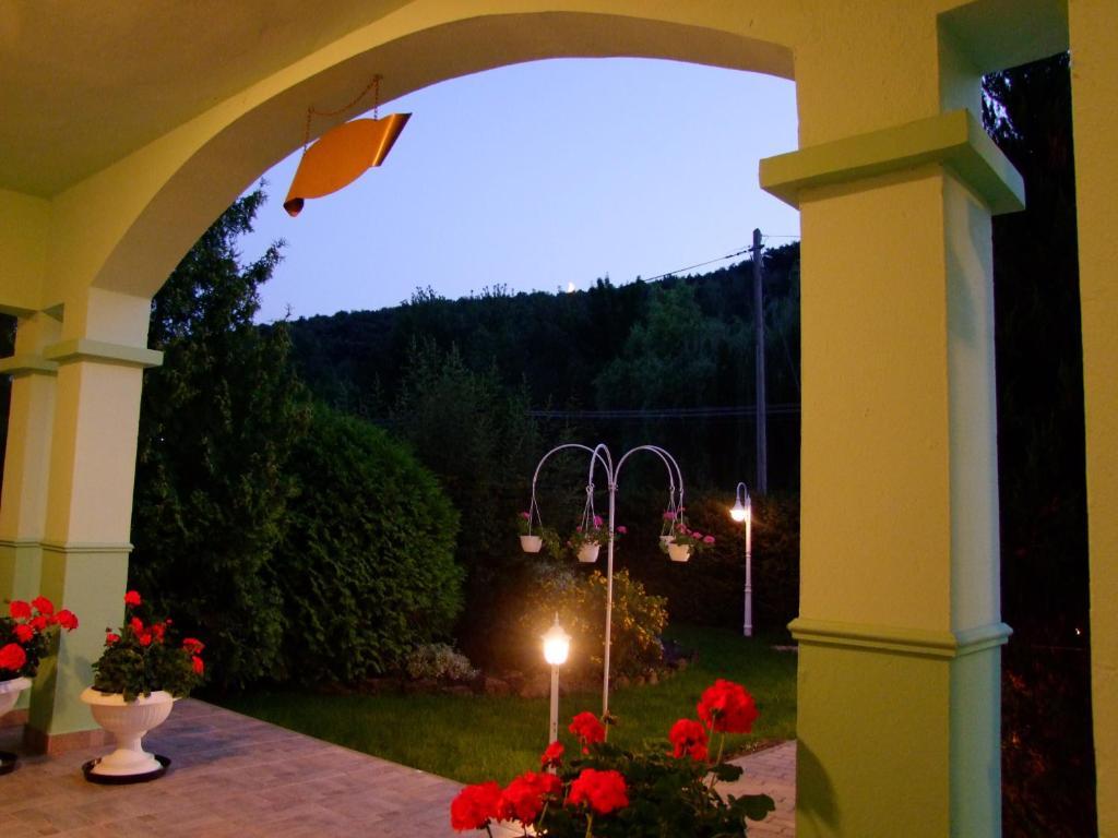 Rajna Apartmanhaz Bogacs Bagian luar foto